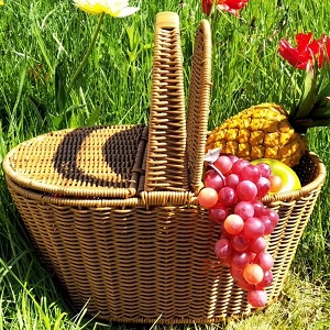 koszyk piknikowy z polirattanu